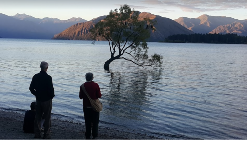 Wanaka sunset